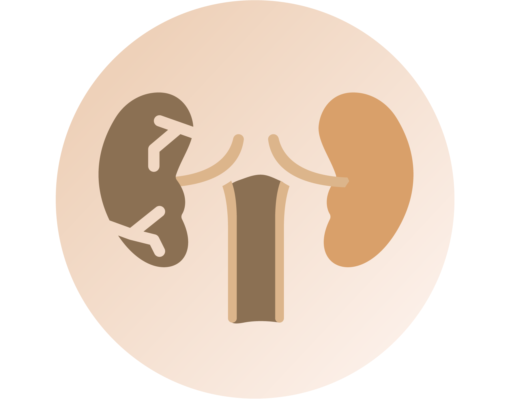 Allergy & immunity / Infection