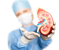 What is Kidney dysplasia Ayurvedic treatment