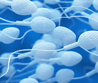 Low Sperm Count Symptoms